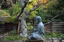 KAMAKURA_DSC10332