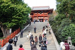 KAMAKURA_DSC10437