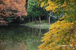 KAMAKURA_DSC10452