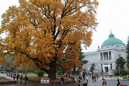 TOKYO_DSC9897