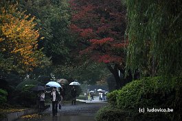 TOKYO_DSC9995