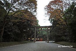 TOKYO_DSC9411