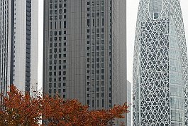 TOKYO_DSC9231