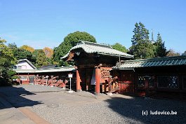 TOKYO_DSC8645