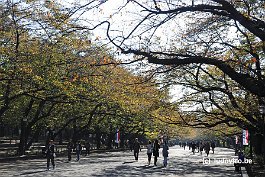 TOKYO_DSC8666