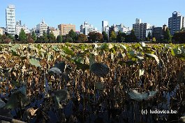 TOKYO_DSC8723