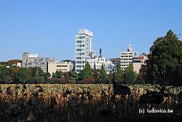 TOKYO_DSC8733