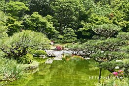 JAPAN2018_P8670428