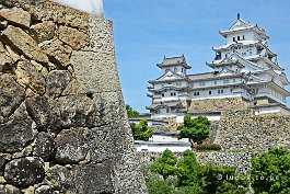 JAPAN2018_4794