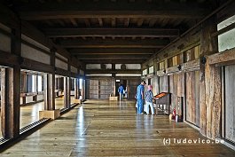 JAPAN2018_4824