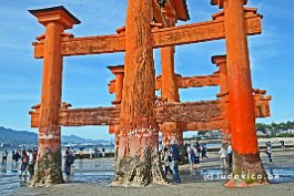 JAPAN2018_4232