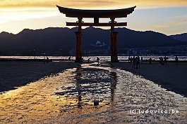 JAPAN2018_4363