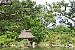 JAPAN2018_4092