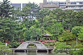 JAPAN2018_4115