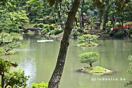 JAPAN2018_4141