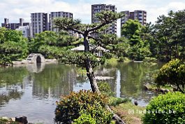 JAPAN2018_4146
