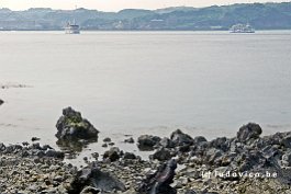 JAPAN2018_P8670158