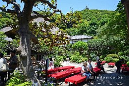 JAPAN2018_6328