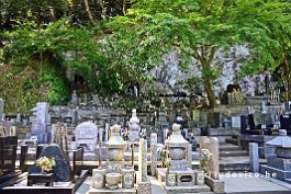 JAPAN2018_6439