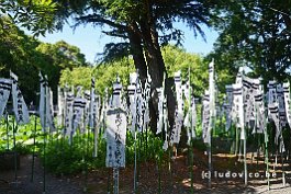 JAPAN2018_6586