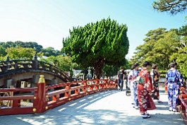 JAPAN2018_6617