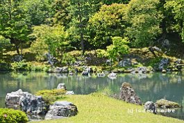 JAPAN2018_2996