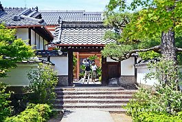 JAPAN2018_3176