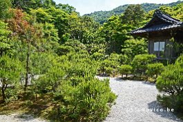 JAPAN2018_3238