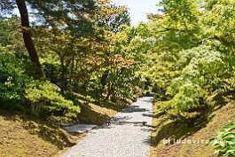 JAPAN2018_2329