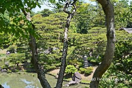 JAPAN2018_2403