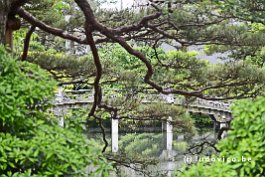 JAPAN2018_1310