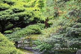 JAPAN2018_1346