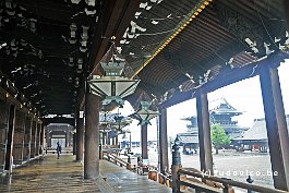 JAPAN2018_3451