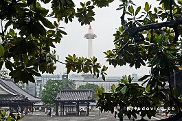 JAPAN2018_3493