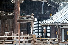 JAPAN2018_3497