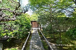 JAPAN2018_2499