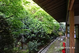 JAPAN2018_2866