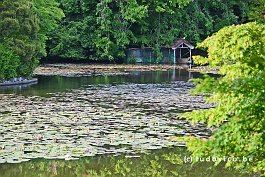 JAPAN2018_2903