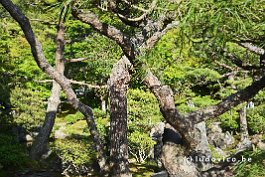 JAPAN2018_2254