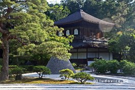 JAPAN2018_2259