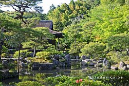 JAPAN2018_2273