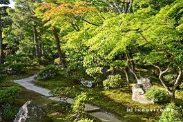 JAPAN2018_2287