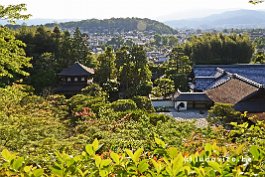 JAPAN2018_2301