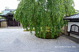 JAPAN2018_1770