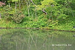 JAPAN2018_1802