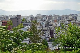 JAPAN2018_1856