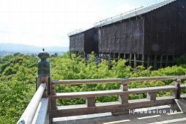 JAPAN2018_1624