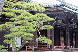 JAPAN2018_1471