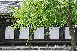 JAPAN2018_1484