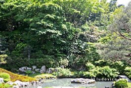 JAPAN2018_2076